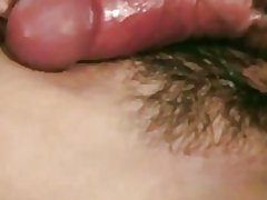 Холмс меорад ин аст, ки дар он хари