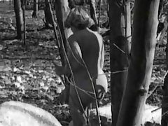 Тӯҳфаи алла