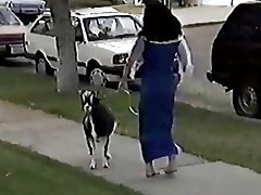 Горбун аз неприятных хонумон XXX