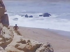 Классикии амрико