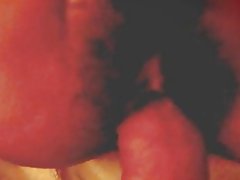 Тайваньская маликаи tugu волосатые киски