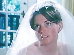 Тӯй переполоха